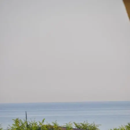 Antonia Marina Surf *